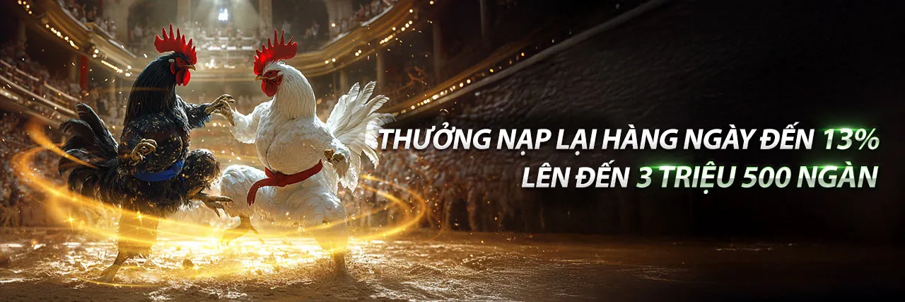 Tin tức mới nhất TP88 về cá cược trực tuyến